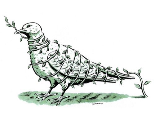jurnalist9